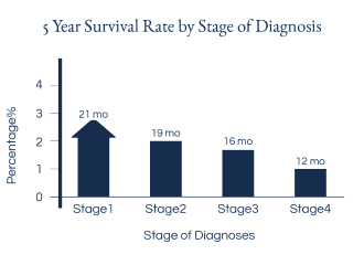 graph about the 5 year rate of stage of Diagnosis