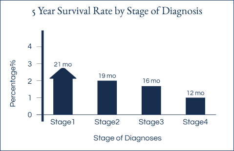 chart of 5 Year Survival Rate by Stage of Diagnosis