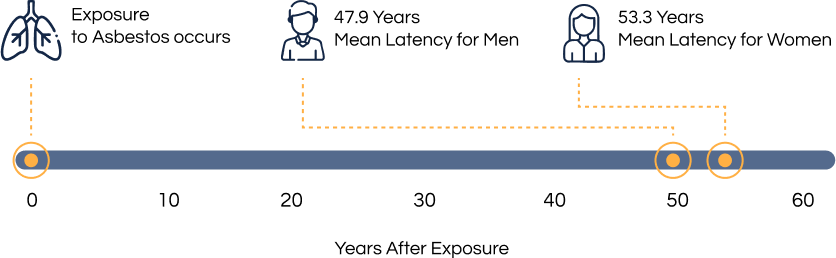 Mesothelioma Latency Period by Gender